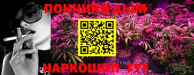 индика Комсомольск-на-Амуре