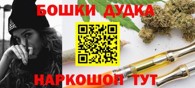 индика Комсомольск-на-Амуре