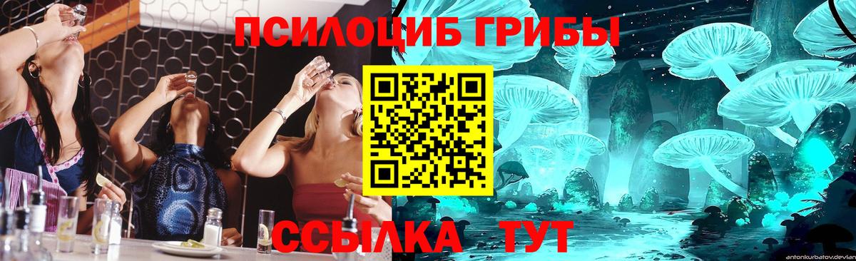 Галлюциногенные грибы Psilocybe Красногорск